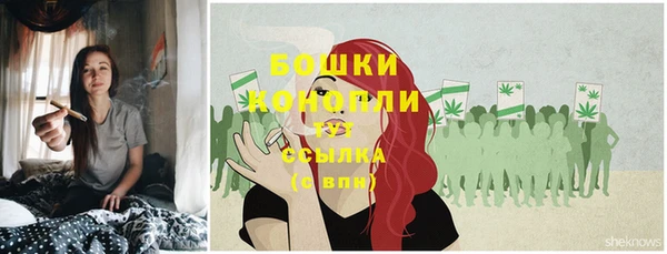 гашик Балахна