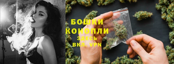 гашик Балахна