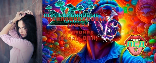 мдпв Баксан