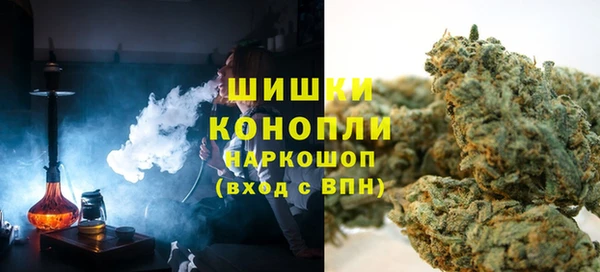 гашик Балахна
